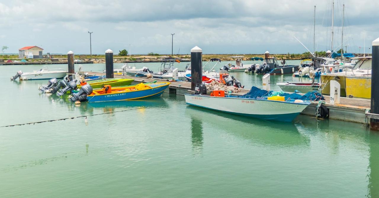 Evasion En Plein Coeur De La Ville Studio Jacuzzis Sauna Et Piscine Au Centre De Port-Louis Εξωτερικό φωτογραφία